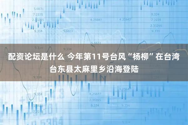 配资论坛是什么 今年第11号台风“杨柳”在台湾台东县太麻里乡沿海登陆