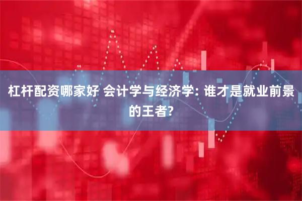 杠杆配资哪家好 会计学与经济学: 谁才是就业前景的王者?