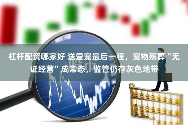 杠杆配资哪家好 送爱宠最后一程，宠物殡葬“无证经营”成常态，监管仍存灰色地带
