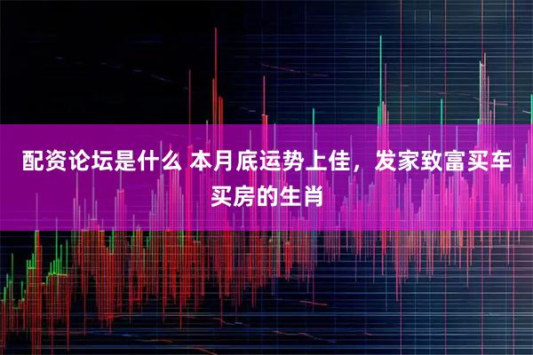 配资论坛是什么 本月底运势上佳，发家致富买车买房的生肖